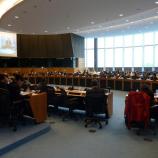 Konferenca o "zelenih delovnih mestih"